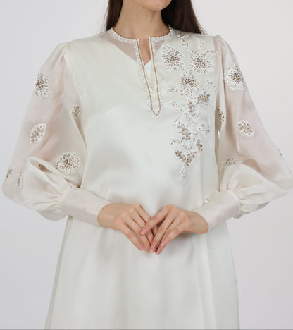 Embellished Gigot Sleeve Organza Dress